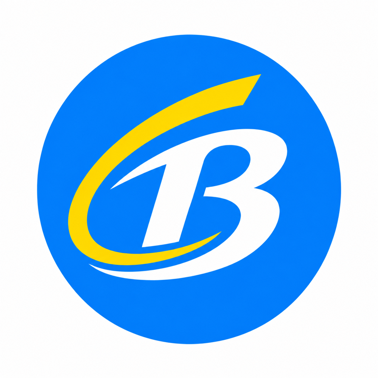 Bopay App Guide Logo